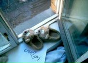 Фотография Арефинкиной Светы