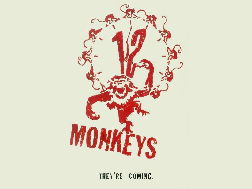 12monkey Wow фотография #1
