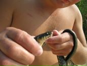 Євгеній Новак фотография #23 (источник - https://vk.com/id65005170)