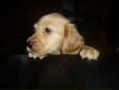 Фотография Кабановой Лены