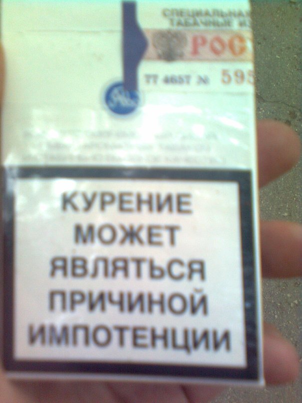 Дима Борисов фотография #27