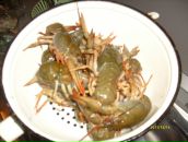 Леонид Торопов фотография #45 (источник - https://vk.com/id163850)