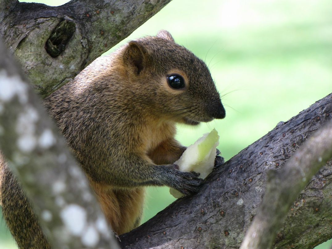 Дмитрий Колпаков фотография #48