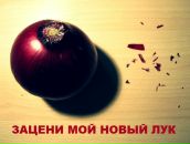 Фотография Четаевой Аллы