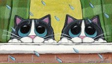 Фотография Крупенi Павлины