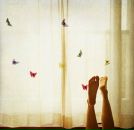 Фотография Домбровский Сергей