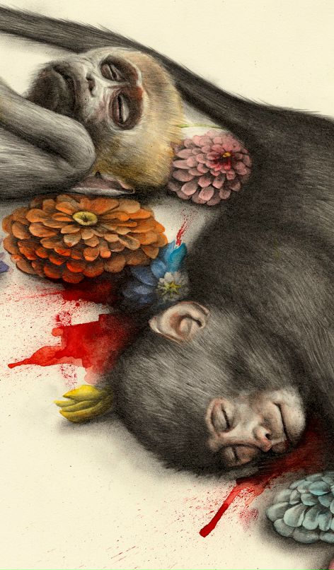 Валя Чеернот фотография #21