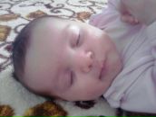 Діма Чеботар фотография #44 (источник - https://vk.com/id87014140)