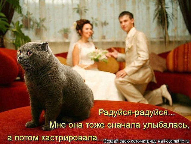 Дмитрий Даниенко фотография #16