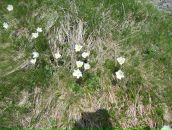 Андрій Дубук фотография #28 (источник - https://vk.com/id10206419)