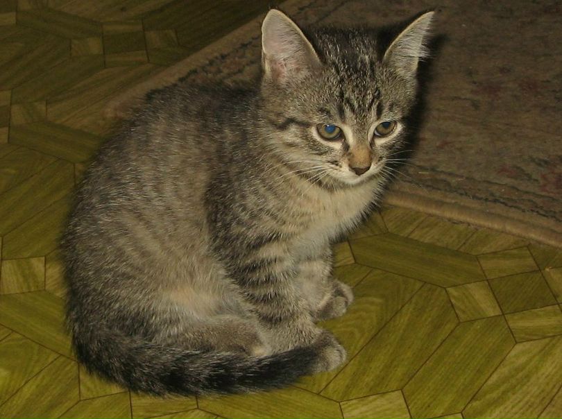 №18, Анастасия Родионова, Нижний Новгород, Россия №18, Анастасия Родионова, Нижний Новгород, Россия