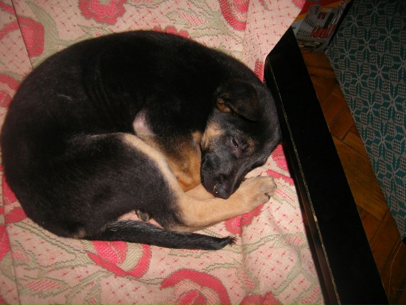 №7, Асария Бушмакова, Москва, Россия №7, Асария Бушмакова, Москва, Россия