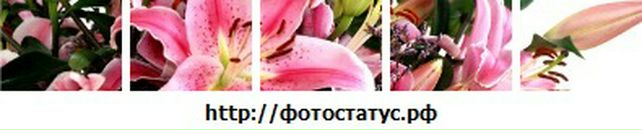 Олічка Дробіт фотография #8 (источник - https://vk.com/id83286044)