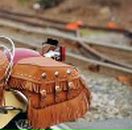 Сергій Туницький фотография #36 (источник - https://vk.com/id33263117)