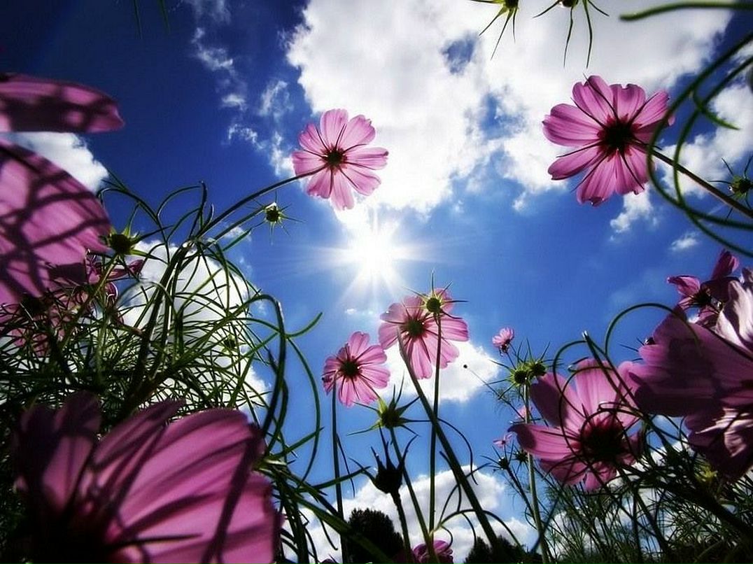 Andrei Knel фотография #36