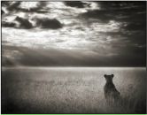 Фотография Соломатиной Юлии