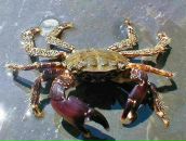 Фотография Овчаренко Николая