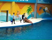 Murat Uzun фотография #27 (источник - https://vk.com/id1846906)