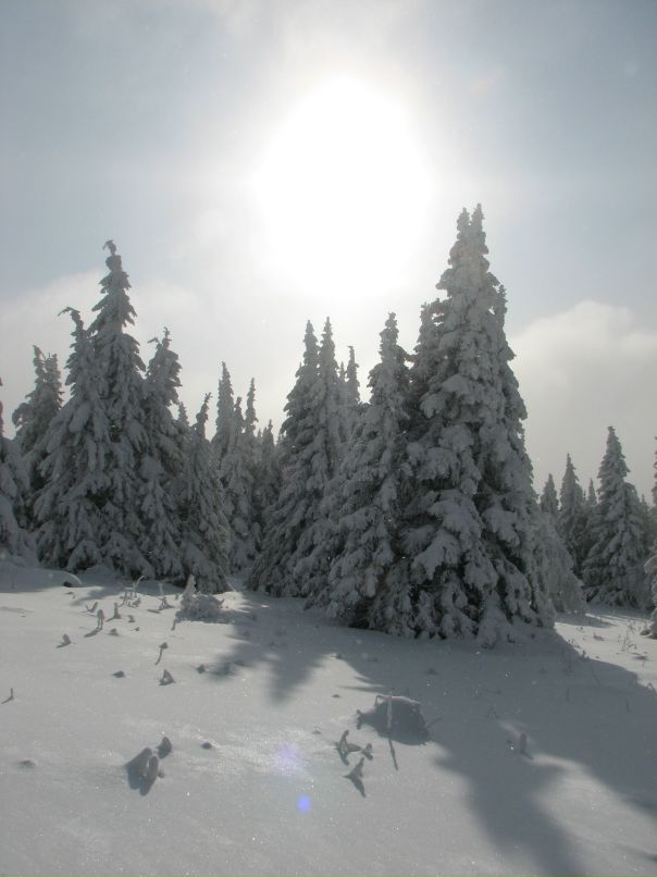 Антон Городилов фотография #42