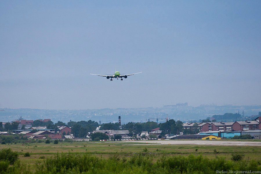 Кот Бегемот фотография #34