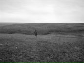 Денис Лето фотография #39 (источник - https://vk.com/id8367338)