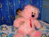 Фотография Ватсу Панамаревой Алены