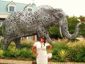 Фотография Ким Яны-Hi-Haters