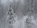 Фотография Молотковой Ирины