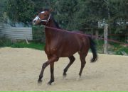 Олько Пер фотография #7 (источник - https://vk.com/id94532)