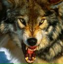 Фотография Настасюка Александра