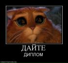 Фотография Иванов Виктор