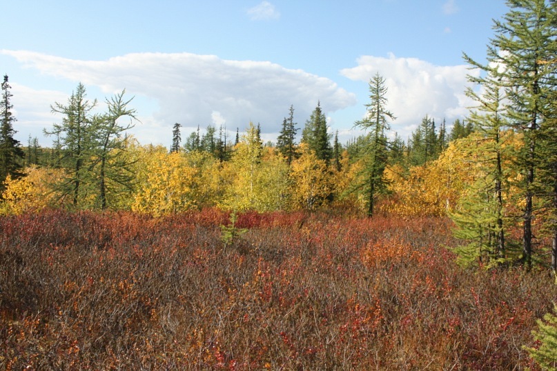 Сергей Маслов фотография #24