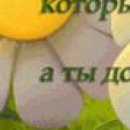 Сергій Романов фотография #7 (источник - https://vk.com/id151153507)