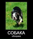 Андрій Климчук фотография #46 (источник - https://vk.com/id151428789)