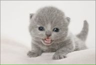 Вадім Бонгар фотография #7 (источник - https://vk.com/id72563271)