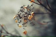 Фотография Душина Миши