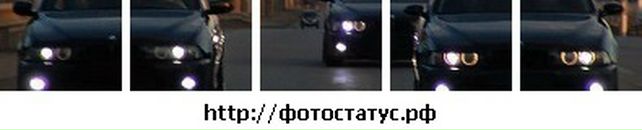 Міша Ярошевський фотография #39 (источник - https://vk.com/id69833166)