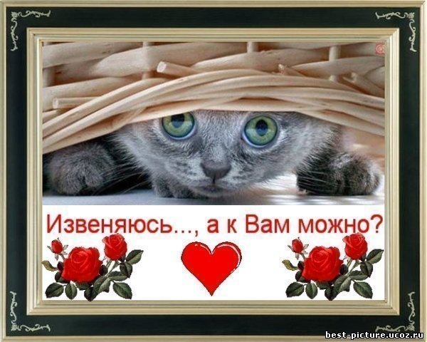 №6, Дмитрий Агаев №6, Дмитрий Агаев
