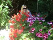 Олександр Клімчук фотография #36 (источник - https://vk.com/id52472373)