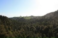 Александр Онищенко фотография #35 (источник - https://vk.com/id1753660)