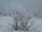 Катерина Мілютенко фотография #43 (источник - https://vk.com/id13031530)