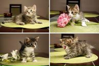 Фотография Буянова Владимира