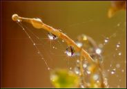 Фотография Хуткой Оксаны