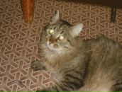 Фотография Капитоновой Риммы