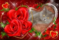 Фотография Мари Мари