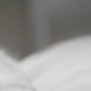 Наталія Олійник фотография #5 (источник - https://vk.com/id85387598)