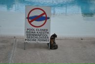 Андрей Костенко фотография #22 (источник - https://vk.com/id2692279)