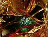 Андрій Васильєв фотография #16 (источник - https://vk.com/id131944013)