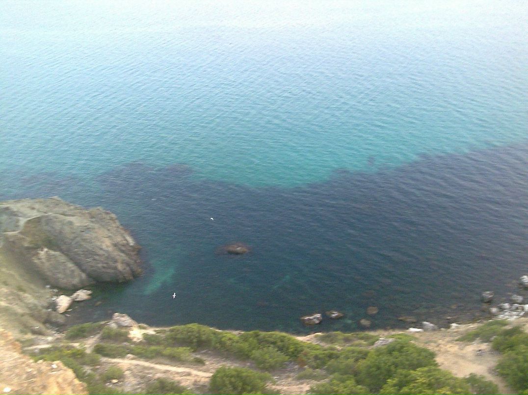 Артем Ченин фотография #32