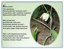 Іван Савіцький фотография #49 (источник - https://vk.com/id13547421)